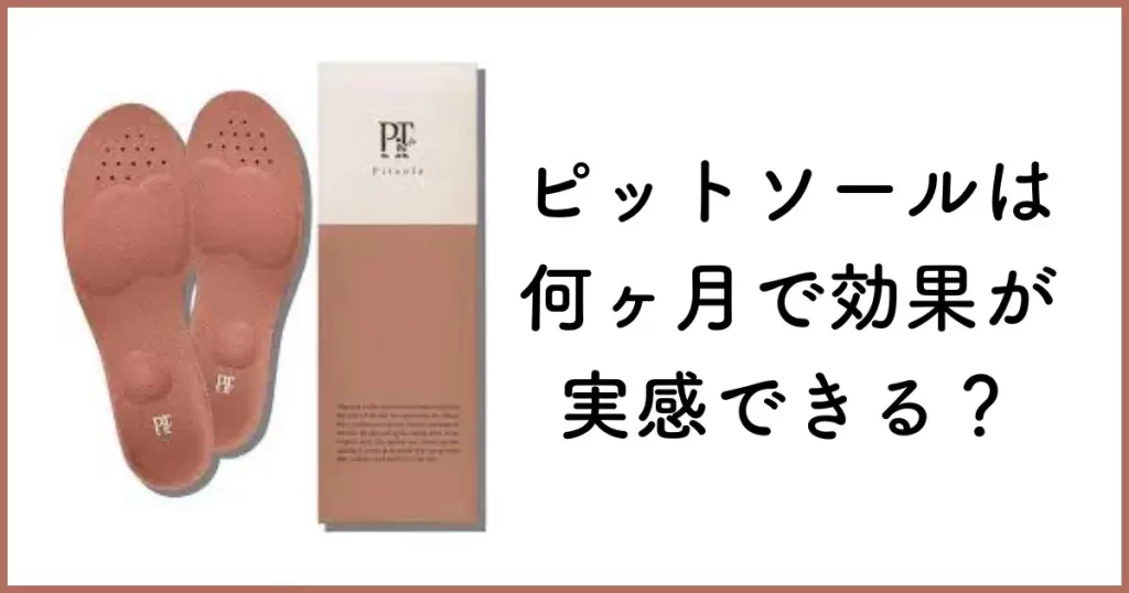 ピットソールの効果を得られるのはどれくらい?何ヶ月で効果がでるの?